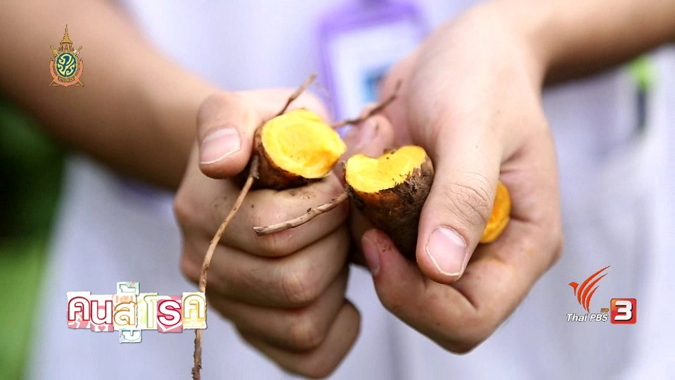 คนสู้โรค : กรมวิทย์ฯ ส่งเสริมยาสมุนไพรในโรงพยาบาล