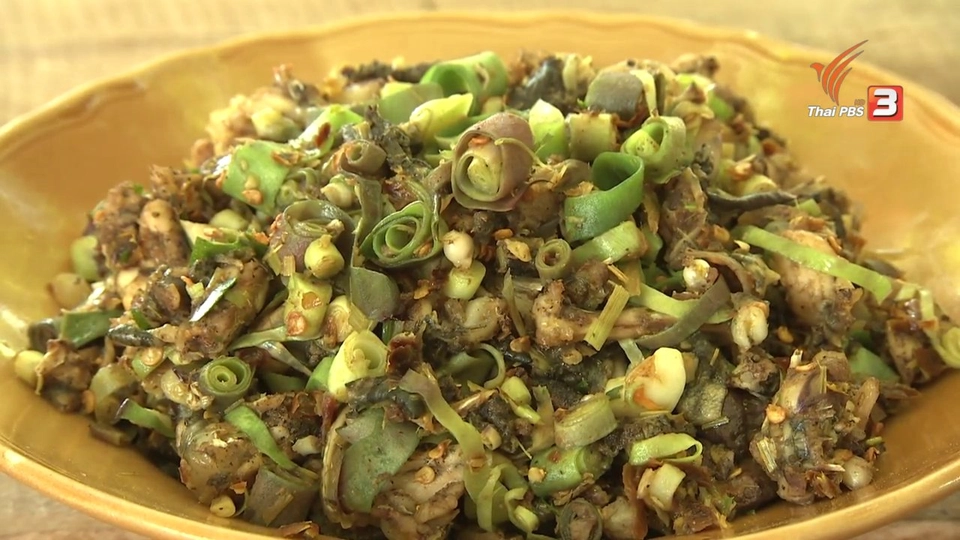 ตะลุยทั่วไทย : 4 ก.ค. 59