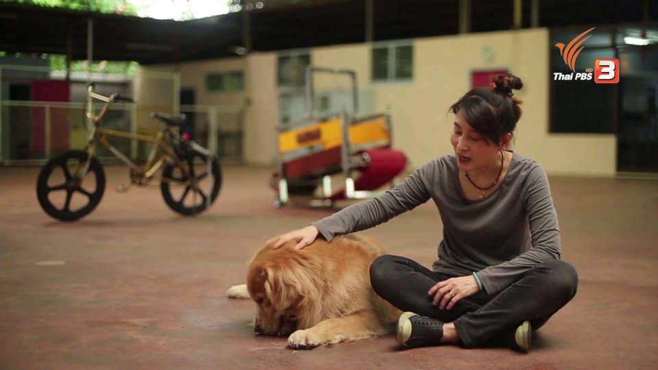 ลุยไม่รู้โรย สูงวัยดี๊ดี (ห้องเรียน สว.) : วิธีการฝึกสอนให้สุนัขปฏิบัติตามคำสั่ง