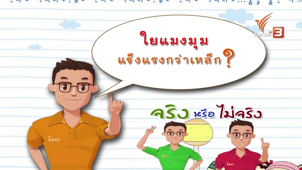 iSci ไอซายน์ ฉลาดยกกำลังสอง : ใยแมงมุมแข็งแรงกว่าเหล็ก จริงหรือไม่?