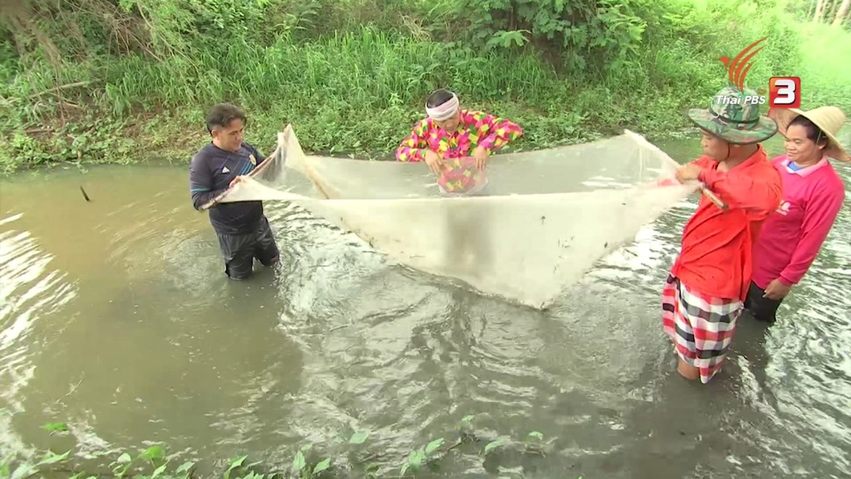 ตะลุยทั่วไทย : ก้อยปลาซิว