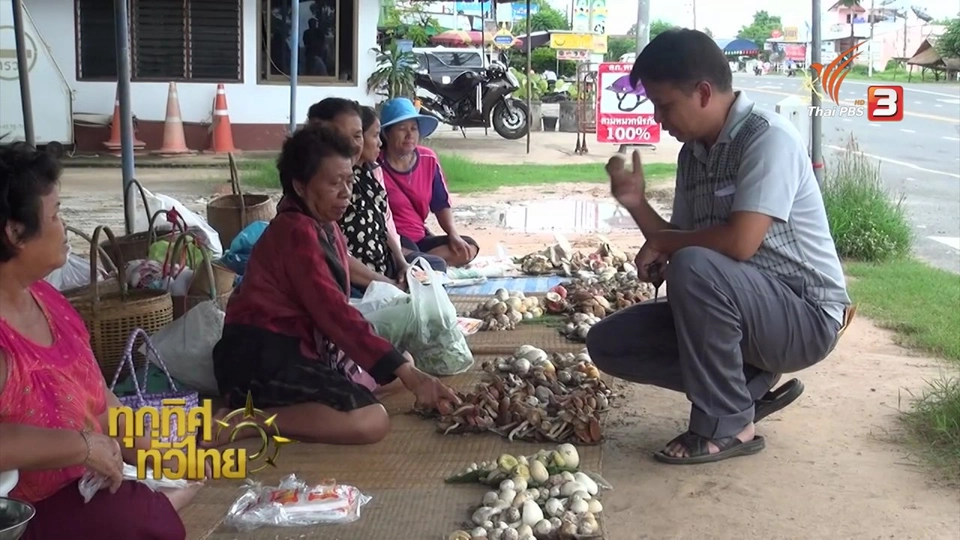 ประเด็นข่าว (6 ก.ค. 59)