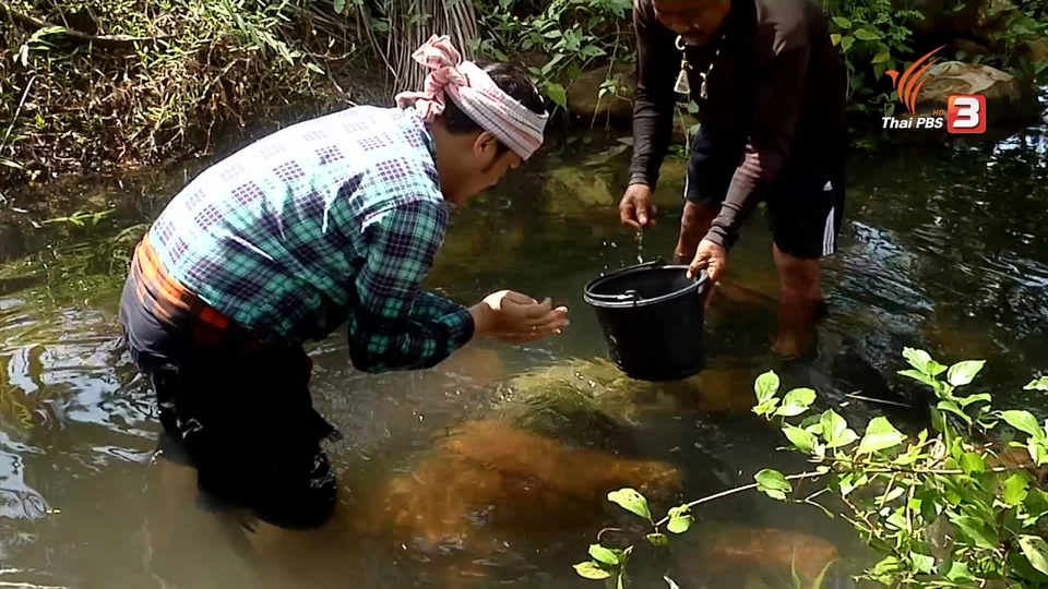 ตะลุยทั่วไทย : หอยครั่ง