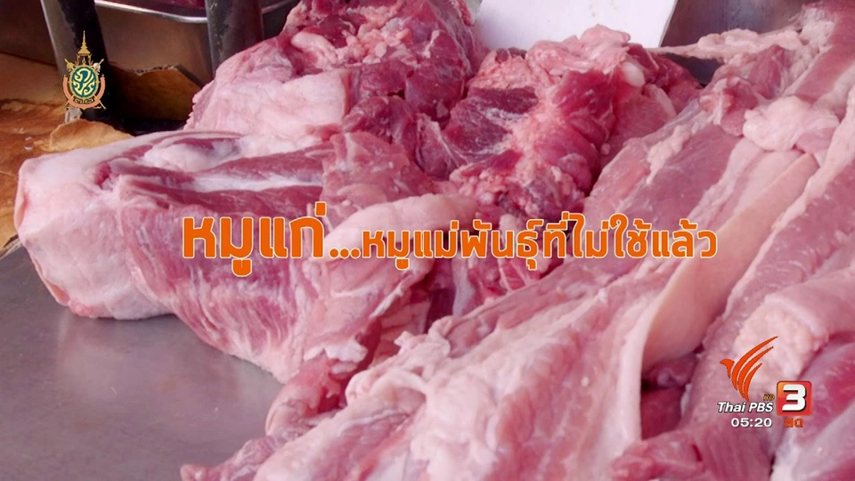 สายสืบเจาะตลาด : ราคาเนื้อหมู