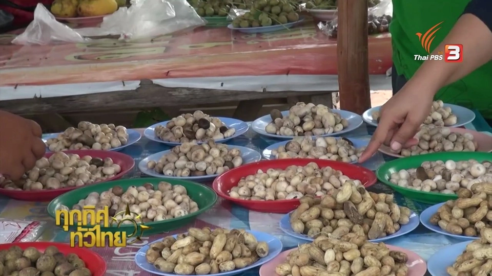 ประเด็นข่าว (8 ก.ค. 59)