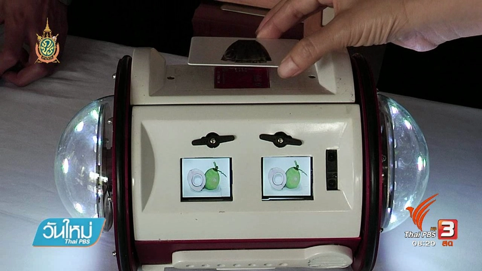 นวัตกรรมและสิ่งประดิษฐ์เพื่อผู้พิการ