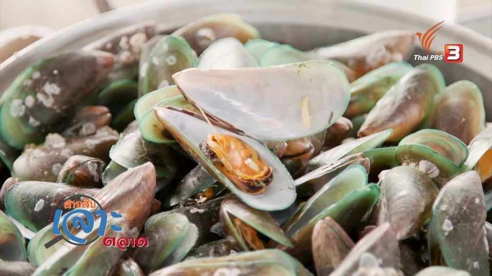 สายสืบเจาะตลาด : สำรวจราคาหอยแมลงภู่