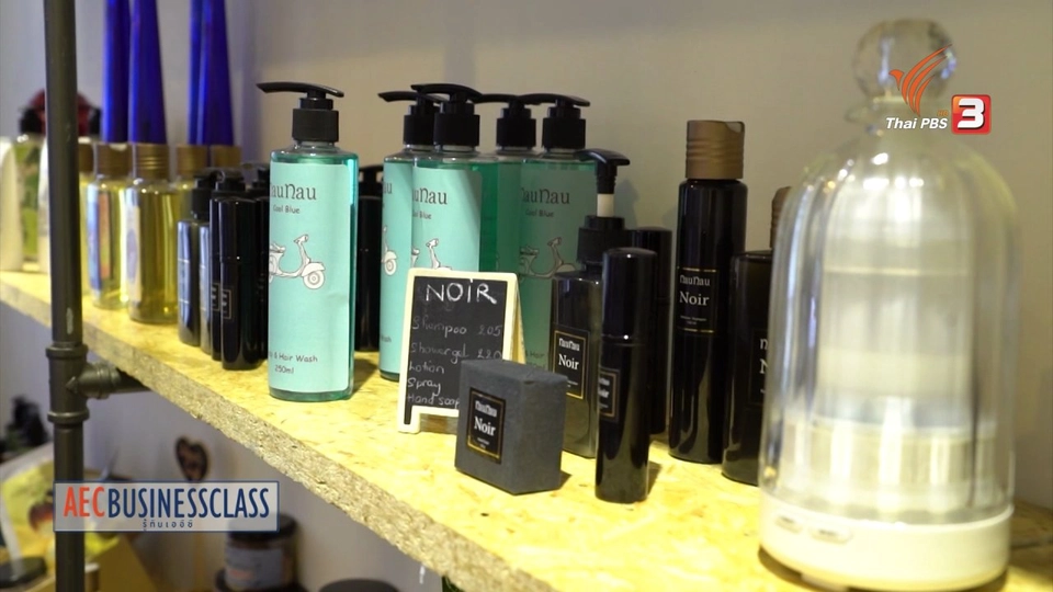 เอสเอ็มอีเวียดนาม รอการทะยาน, โรงไฟฟ้าเวียดนามวางแผนระดมทุน