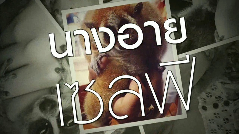 นางอายเซลฟี่