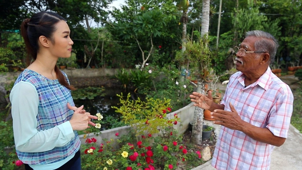 รักษาภูมิคุ้มกันด้วยตำรับยาสมุนไพร, พิลาทิสขาสวย ลดเซลลูไลท์