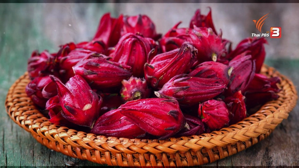 อาหารเป็นยา : กระเจี๊ยบ