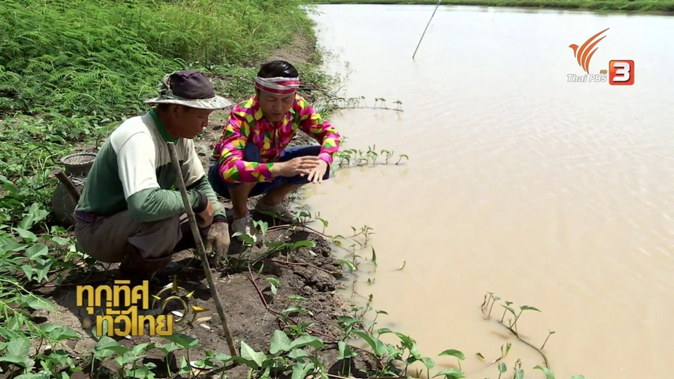 วิถีทั่วไทย : อาหารพื้นบ้านจากปลาไหล อ.แม่จัน จ.เชียงราย