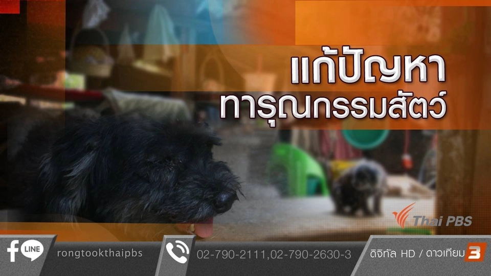 แก้ปัญหาทารุณกรรมสัตว์