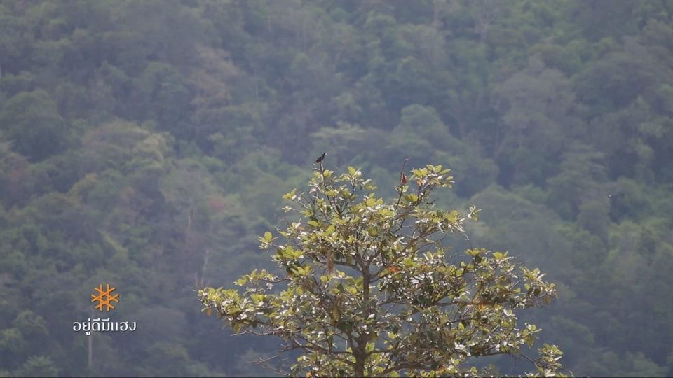 "นาอุดม" สมบูรณ์, ฟื้นชีวิตเหมือง คืนชีวิตคน, SUPRADO SKATEBOARD