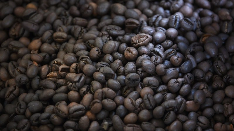 มรดกเมล็ดพันธุ์