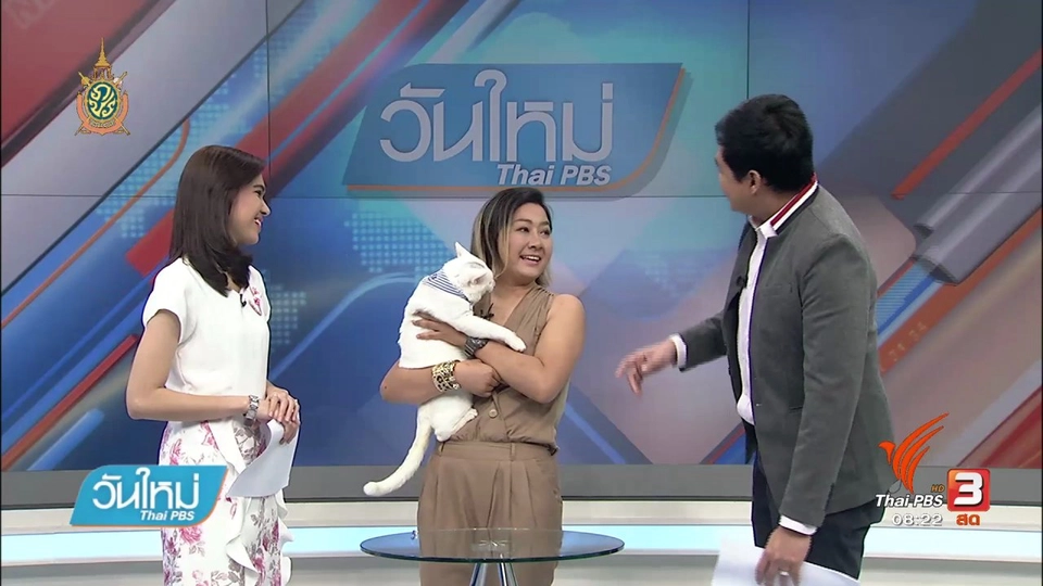 บอกเล่าข่าวดี : กิจกรรมวิ่งนี้เพื่อแมวจร