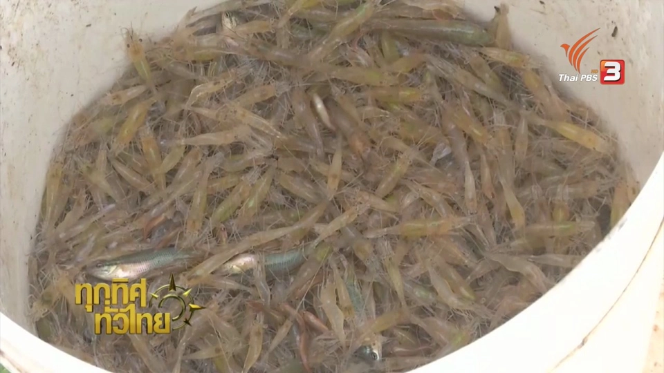 ประเด็นข่าว (1 ส.ค. 59)