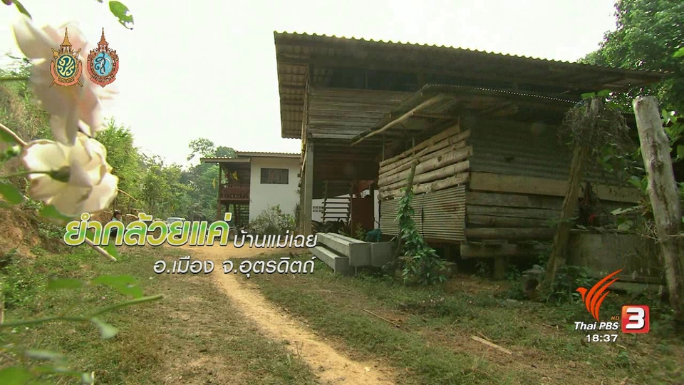 ตะลุยทั่วไทย : ยำกล้วยแค่