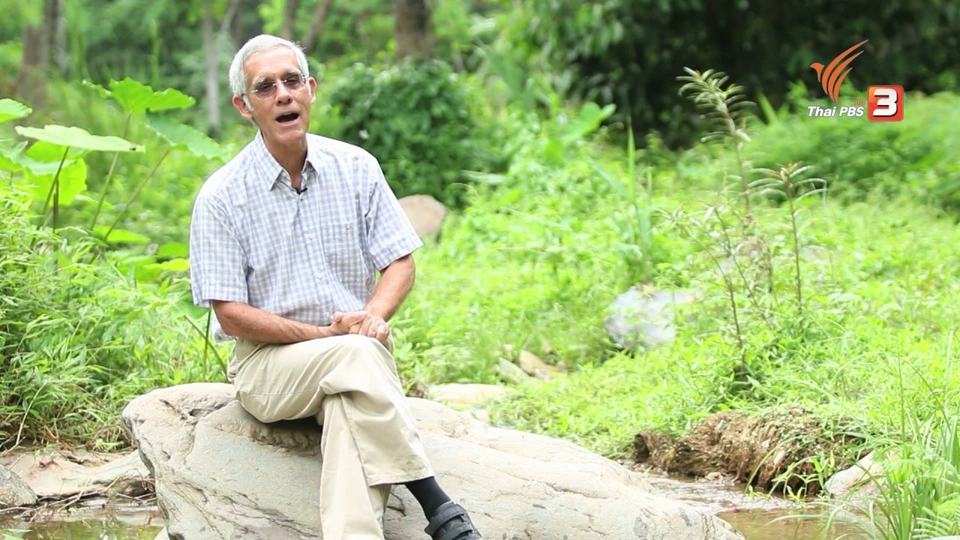 นักบุญของตองเหลือง