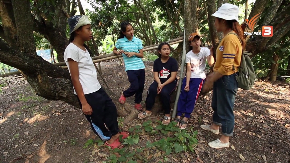 อาหารในสวนลำไย