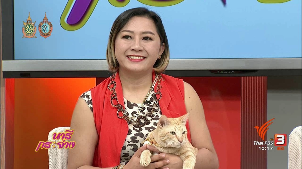 Talk : ครอบครัวแมวป่วน "ทูนหัวของบ่าว"