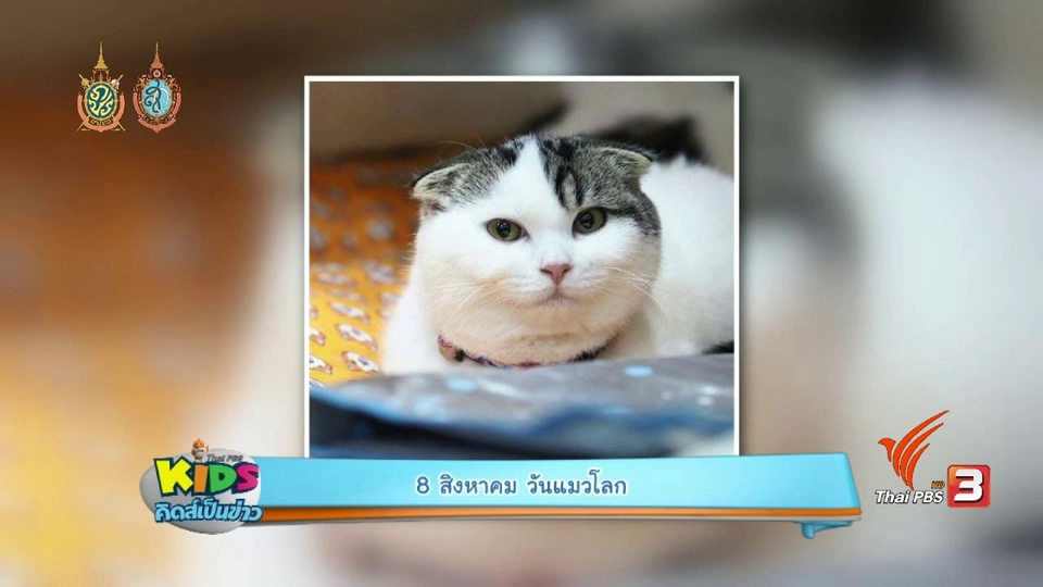 วันแมวโลก