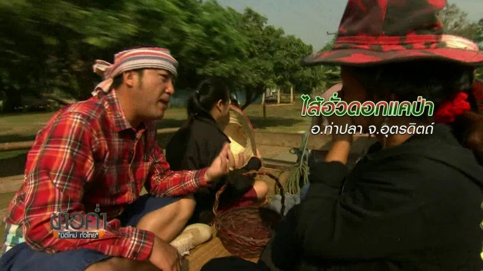 ตะลุยทั่วไทย : ไส้อั่วดอกแคป่า