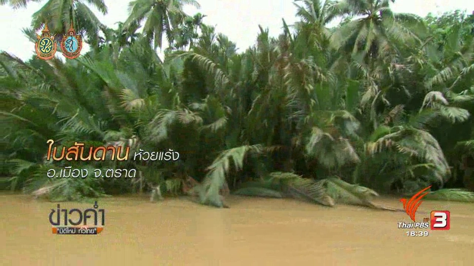 ตะลุยทั่วไทย : ใบสันดาน