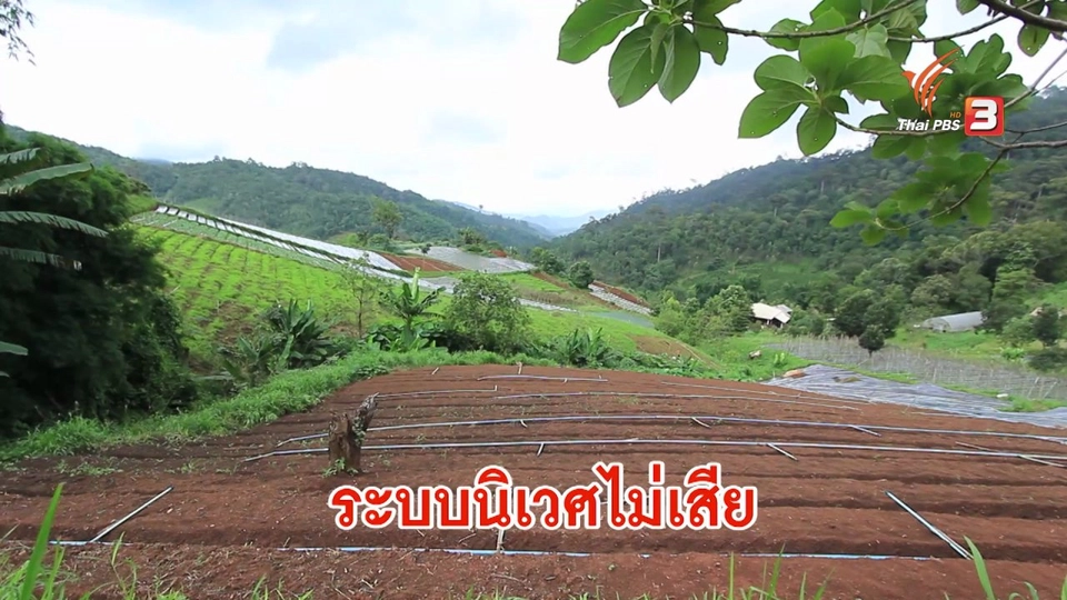เกษตรกรไทย บุกไปญี่ปุ่น ตอน 1