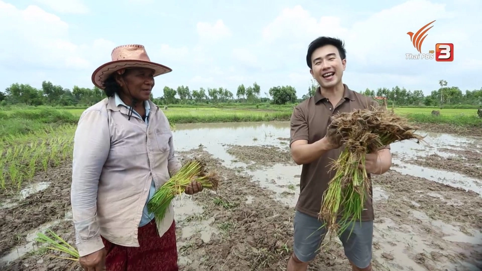 ดินแดนสุขบ้านตุ่น จ.สระแก้ว