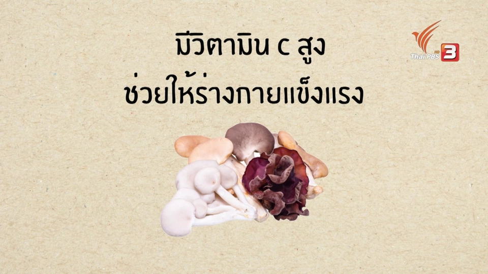 สกู๊ป อาหารเป็นยา : เห็ด