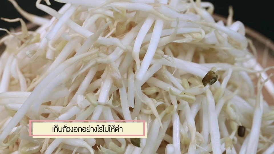 สุดยอดแม่บ้าน "เก็บถั่วงอกอย่างไรไม่ให้ดำ"