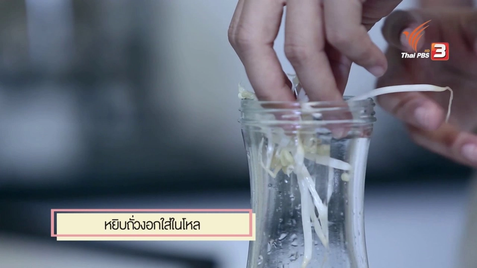 เคล็ดลับเก็บถั่วงอกไม่ให้ดำ