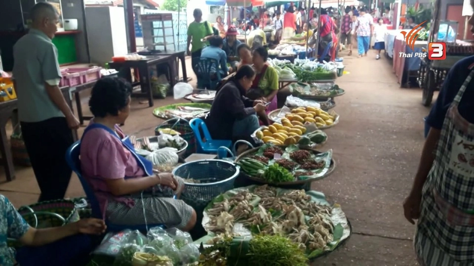 ประเด็นข่าว (15 ส.ค. 59)