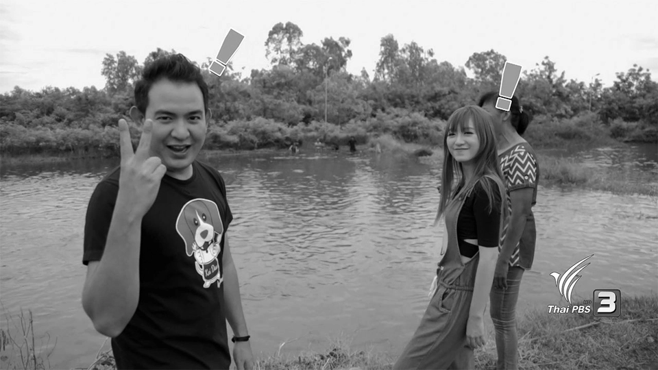 ปลาสวาย​