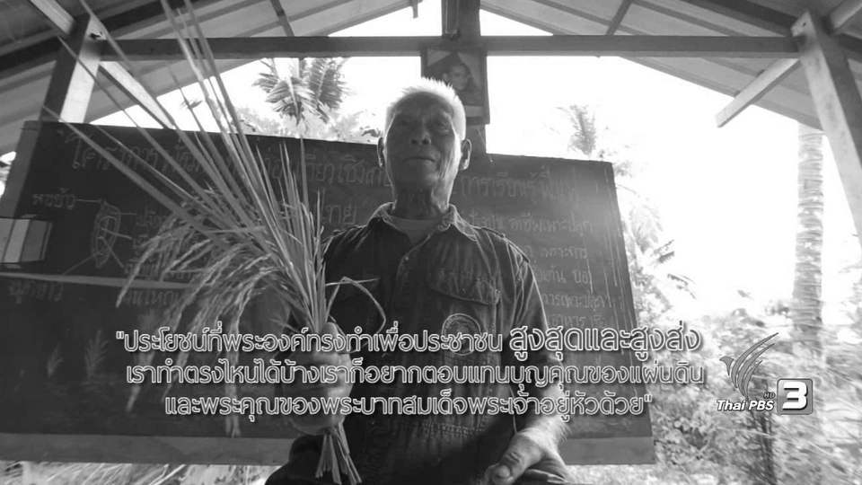 เกษตรแบบไร้สารเคมี