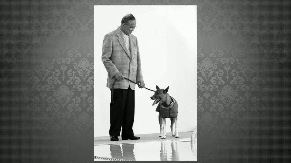 ในหลวงกับสัตว์ทรงเลี้ยง