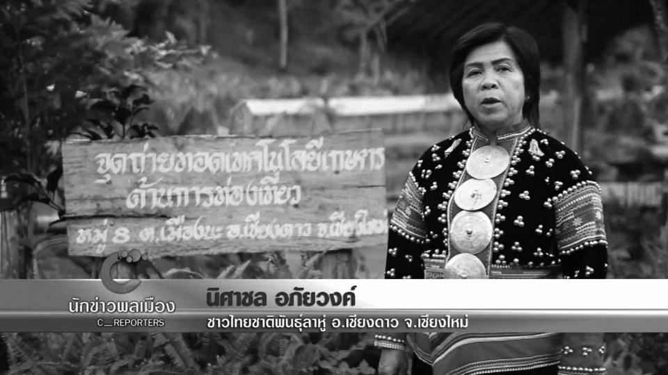 นักข่าวพลเมือง : โครงการหลวงแกน้อย