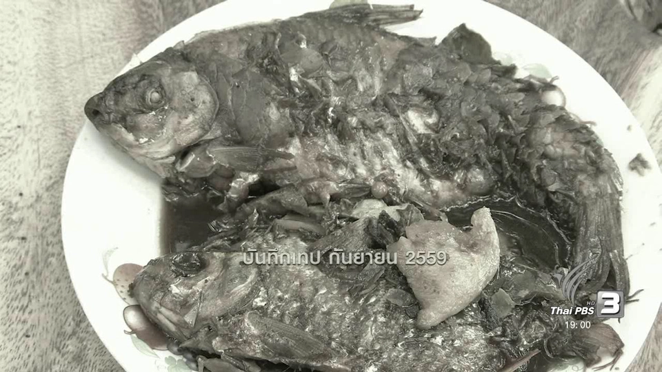 ตะลุยทั่วไทย : แหกระตุก