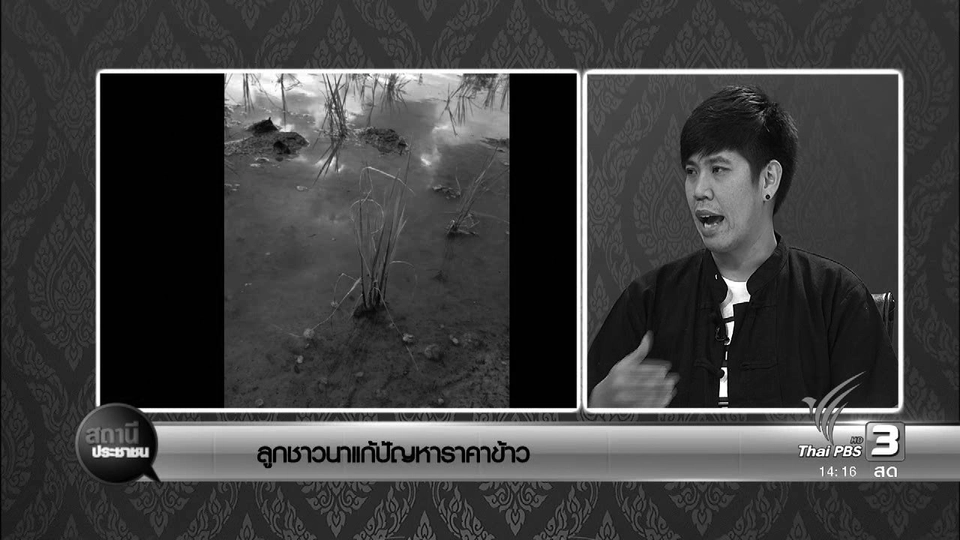 ลูกชาวนาแก้ปัญหาราคาข้าว