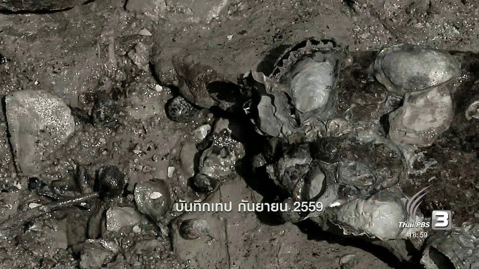 ตะลุยทั่วไทย : หอยน้ำพริก