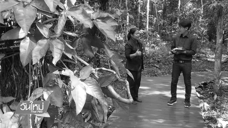 ห้วยฮ่องไคร้ฯ ตัวอย่างศูนย์การพัฒนา