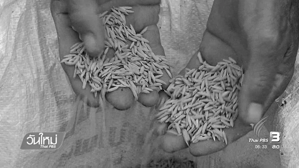 ข้อจำกัดชาวนาสีข้าวขายเอง