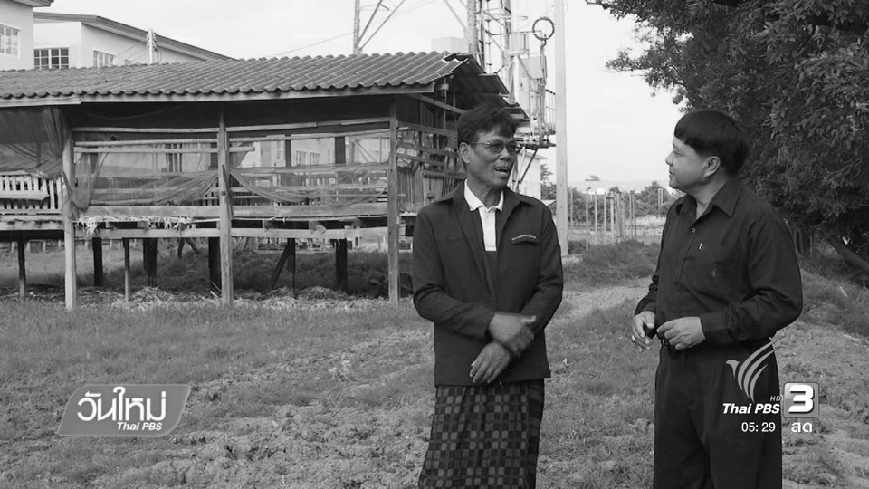 สายสืบเจาะตลาด : การเลี้ยงแพะใช้ต้นทุนน้อยแต่สร้างรายได้มั่นคง