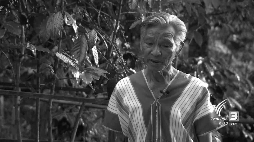 สารคดีต้นกาแฟพลิกฟื้นผืนดินไทย