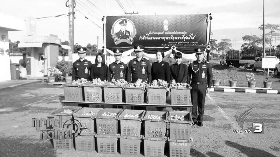 ประเด็นข่าว (3 พ.ย. 59)