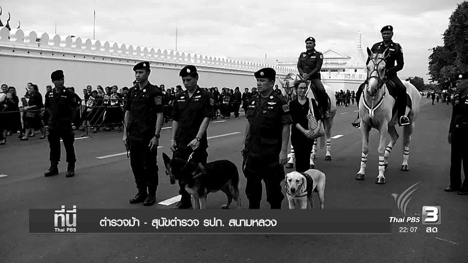 ประเด็นข่าว (3 พ.ย. 59)