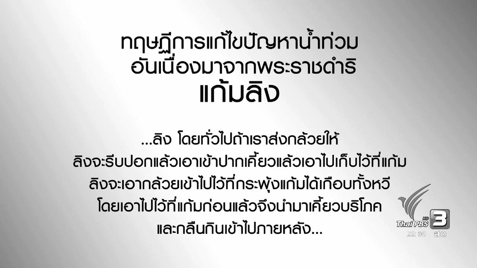 ทฤษฏีการแก้ไขปัญหาน้ำท่วมกรุงเทพมหานครอันเนื่องมาจากพระราชดำริ