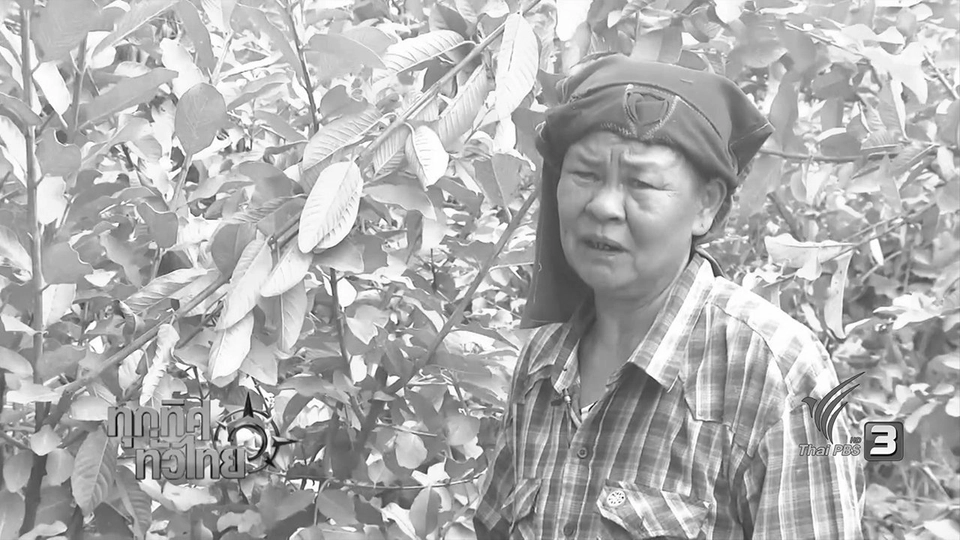 ประเด็นข่าว (7 พ.ย. 59)