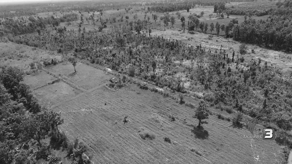 โรงงานน้ำตาลรุกคืบ